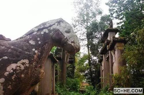 巴中南江三甲何氏始祖何荣清(号悟真)支系