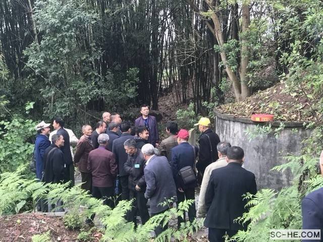 自贡何氏宗亲会2018清明祭祖活动