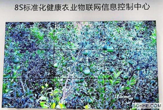【走进名优企业】-成都新朝阳