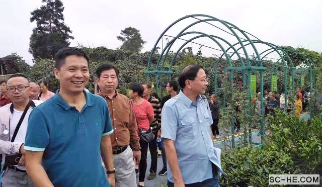 【走进名优企业】-成都新朝阳